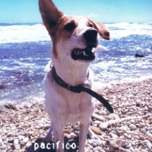 PACIFICO